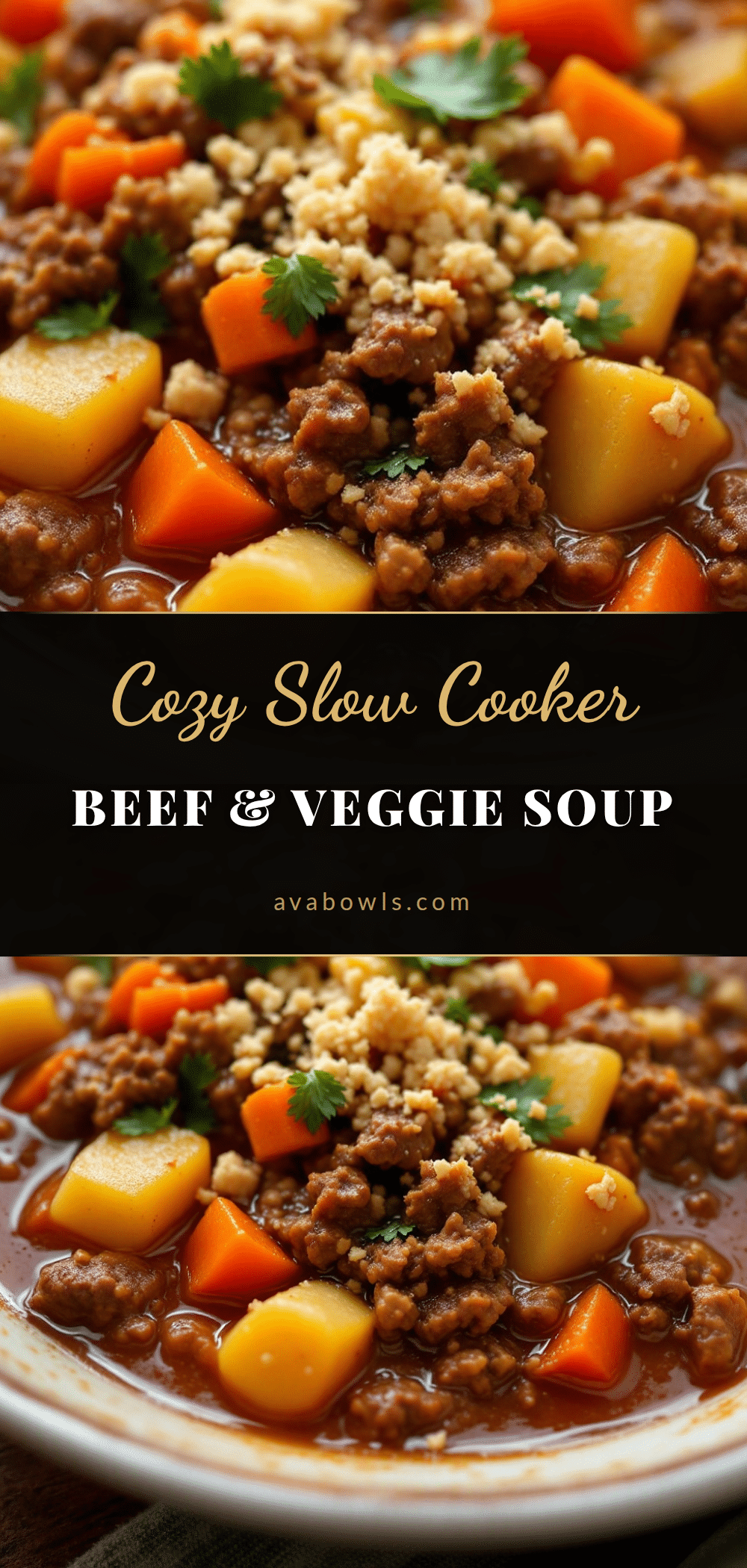 slow cooker ground beef vegetable soup recipe