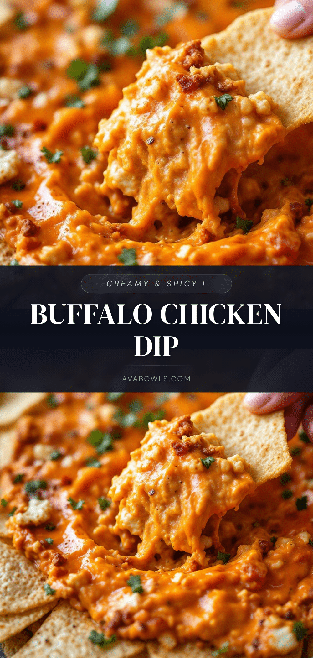 creamy buffalo chicken dip recipe recipe