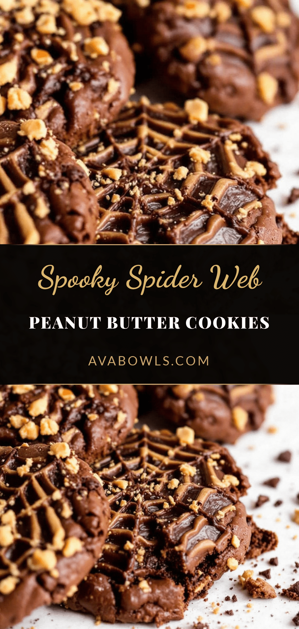 spider web chocolate peanut butter cookies recipe
